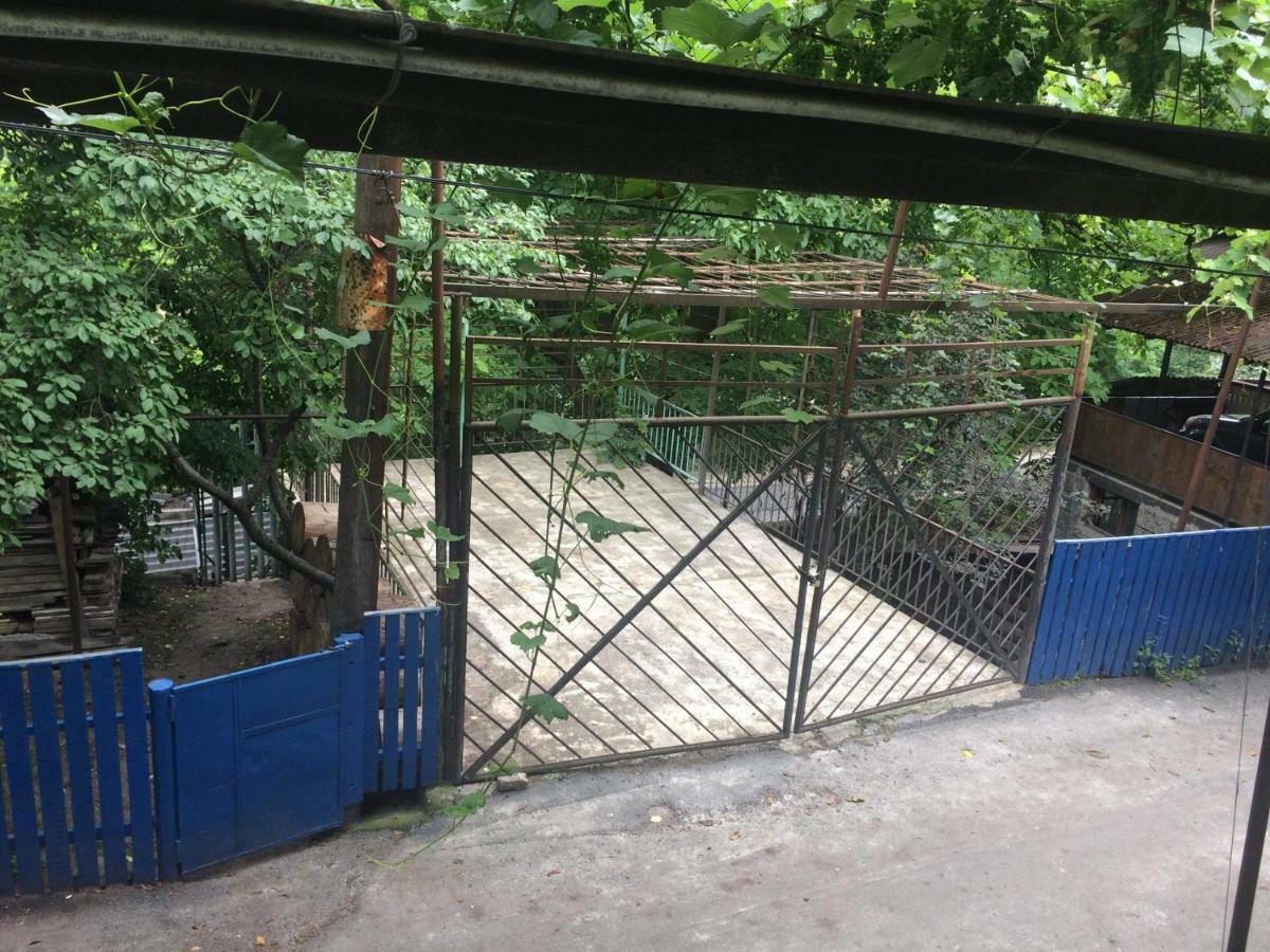 Guesthouse Malkhazi Borzsomi Kültér fotó